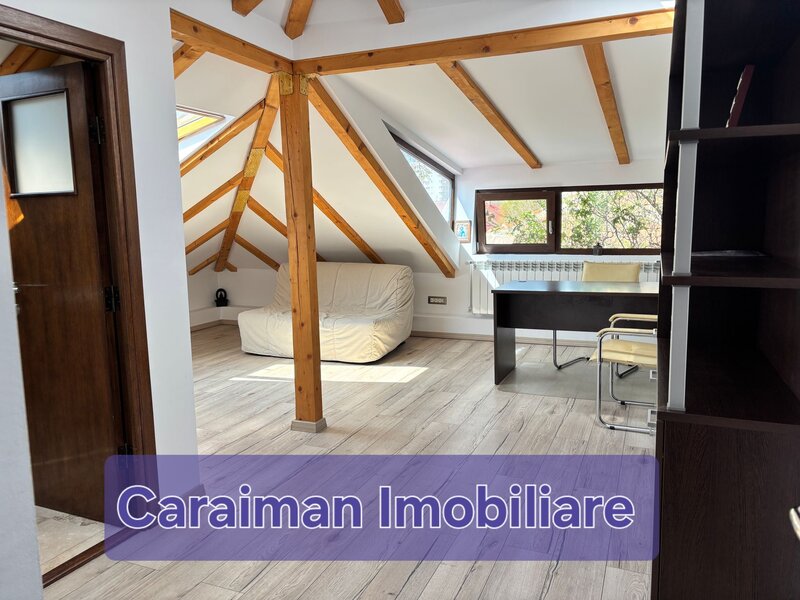 Vatra Luminoasa aproape de Mega Mall.